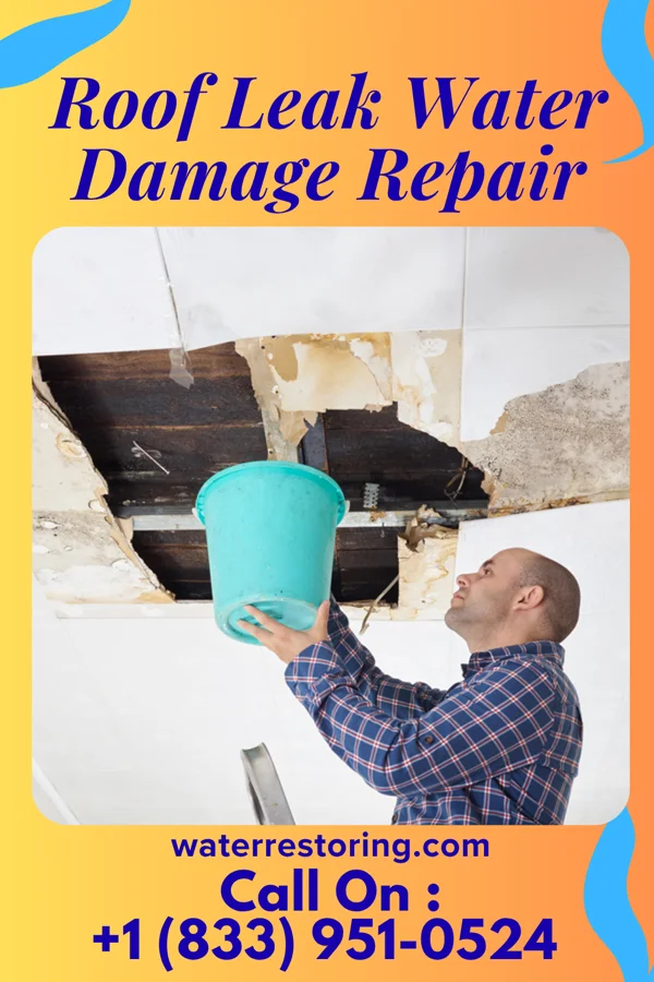 Roof Leak Water Damage Repair in Circleville, UT